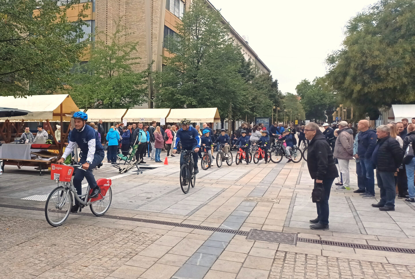kolesarjenje